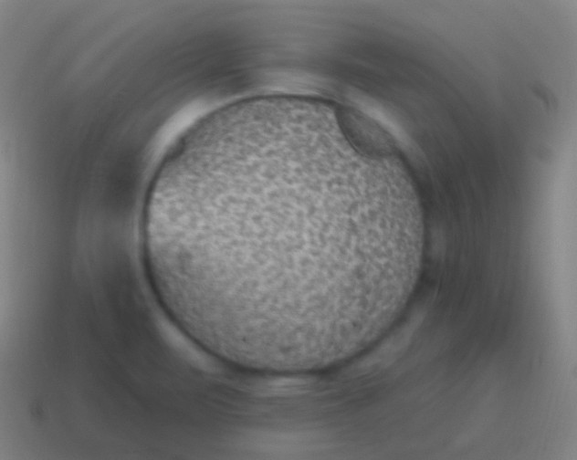 X0000115071471200911101253