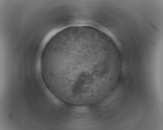 X0000115071472200911101253