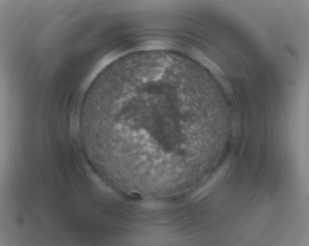X0000115071473200911101253