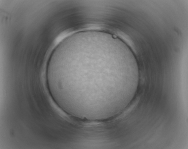 X0000115071475200911101252