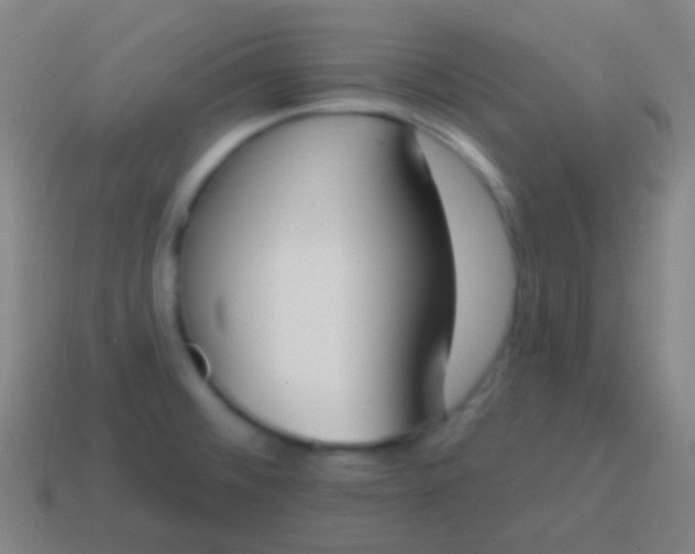 X0000115071476200911101252