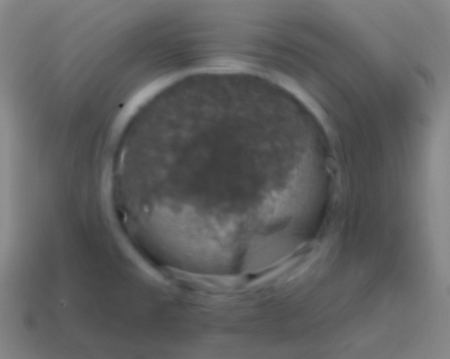X0000115071477200911101252