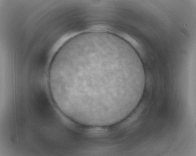X0000115071478200911101252