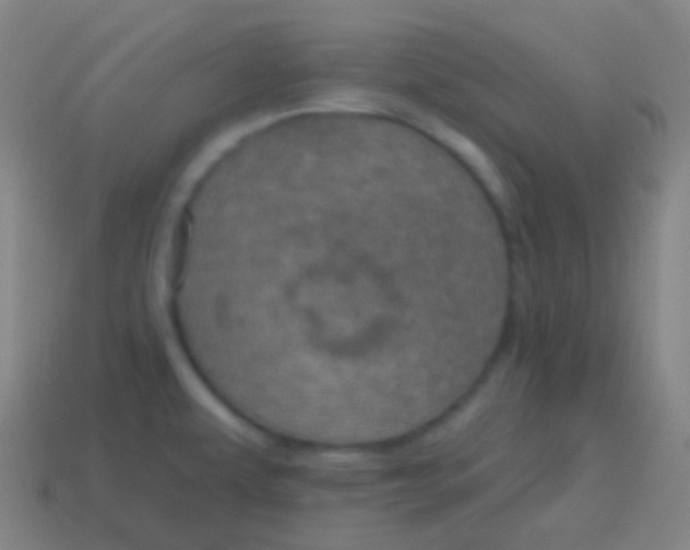 X0000115071479200911101252