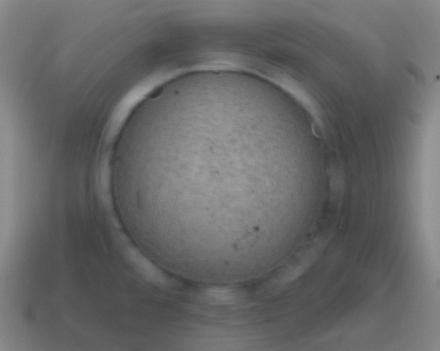 X0000115071480200911101252