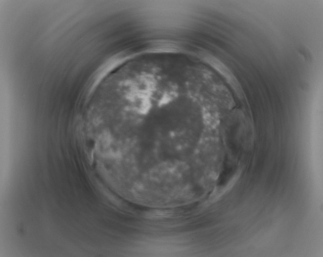 X0000115071481200911101252