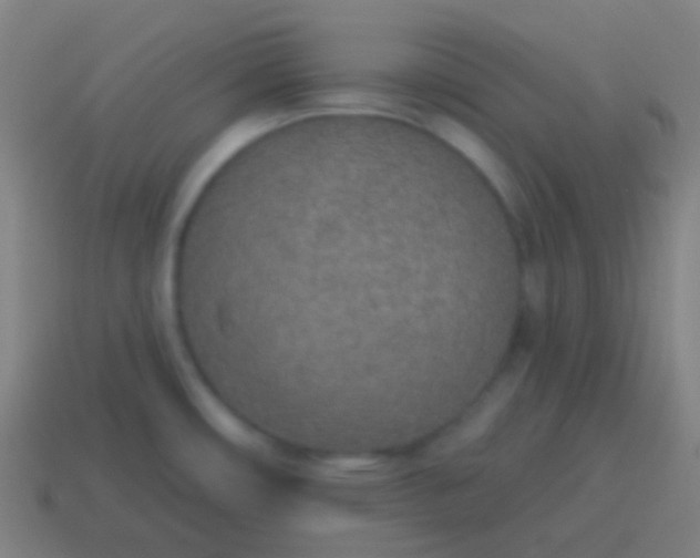 X0000115071482200911101252