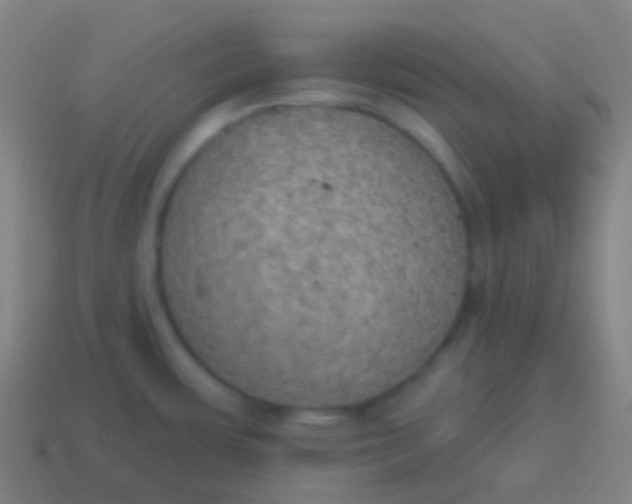X0000115071483200911101252