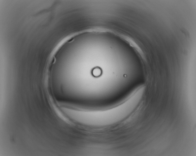 X0000115071484200911101252