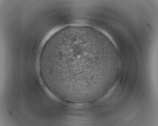 X0000115071485200911101252