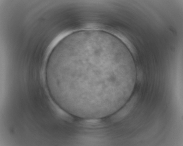 X0000115071486200911101252