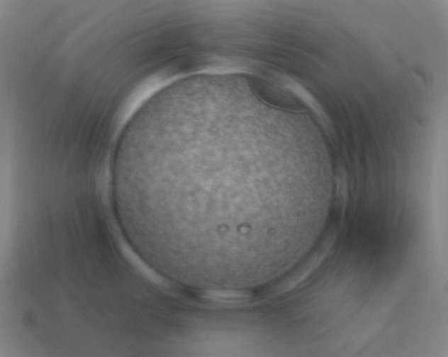 X0000115071487200911101252