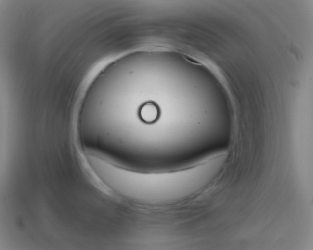 X0000115071488200911101252