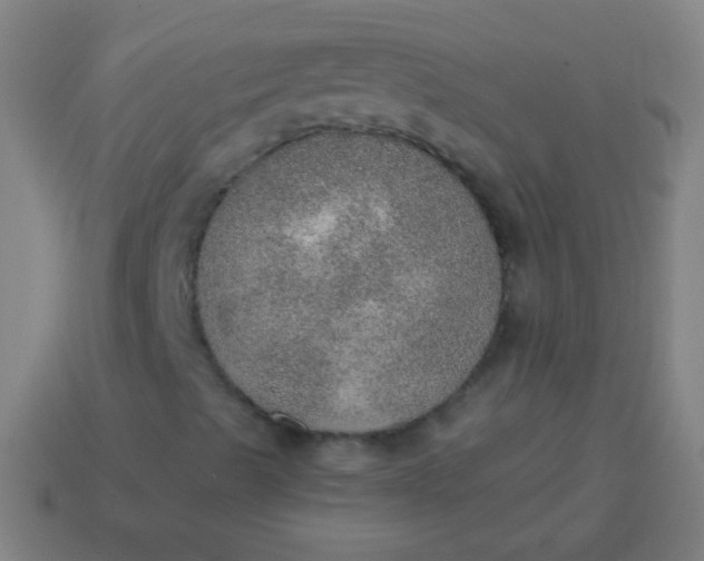 X0000115071489200911101252