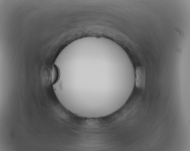 X0000115071491200911101252