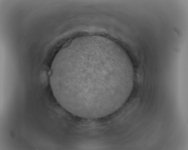X0000115071493200911101252