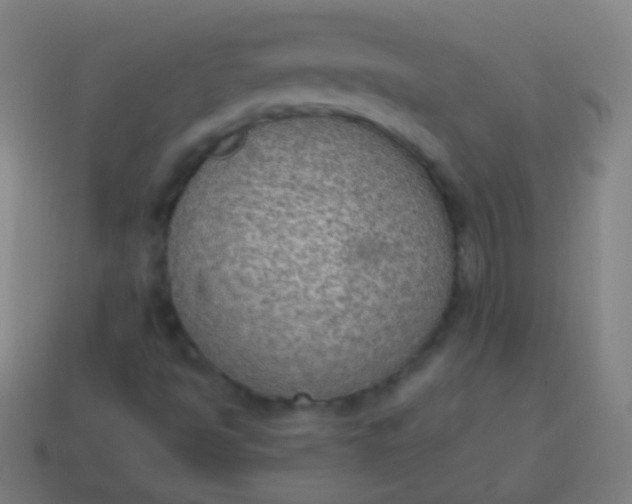 X0000115071494200911101252