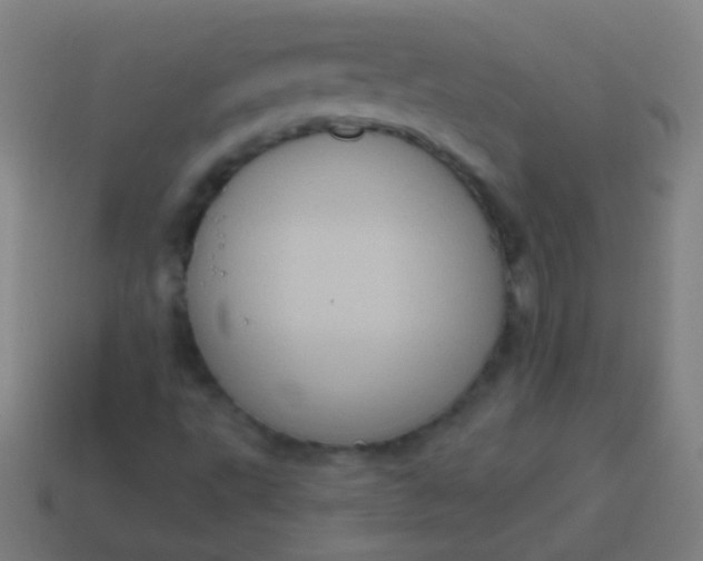 X0000115071495200911101252
