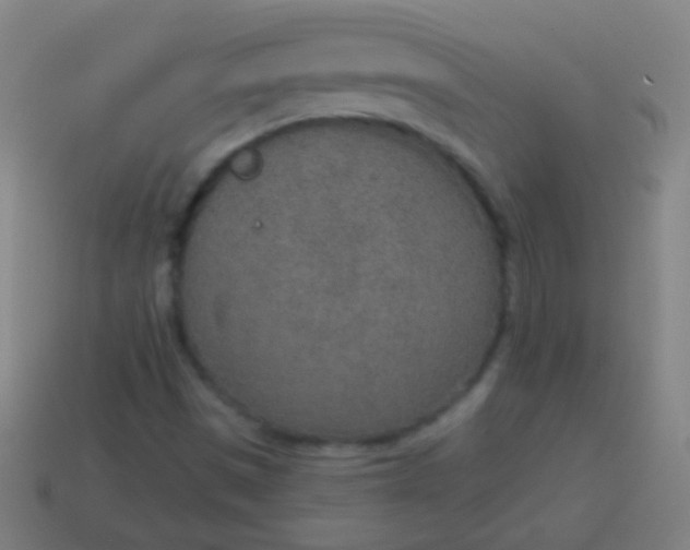 X0000115071497200911101252