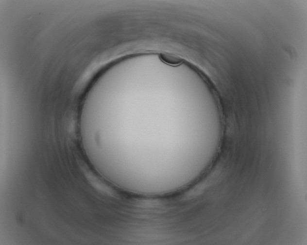 X0000115071499200911101252