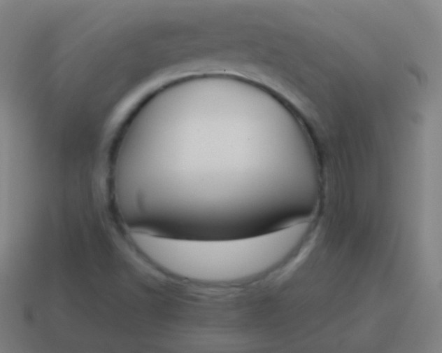 X0000115071502200911101252