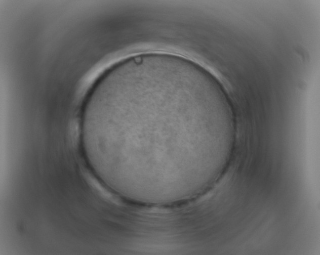 X0000115071503200911101252