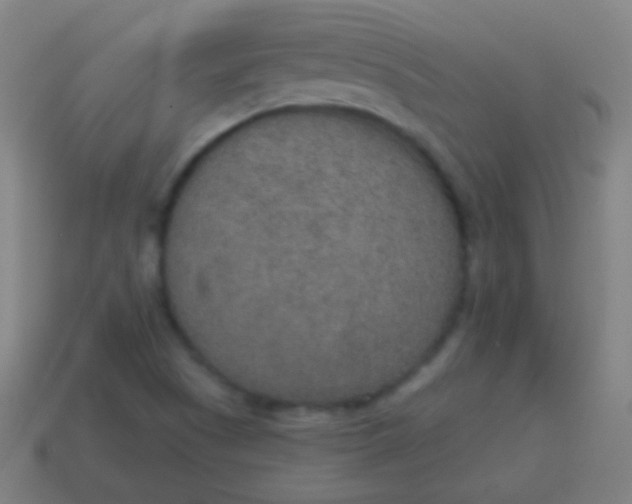 X0000115071505200911101252