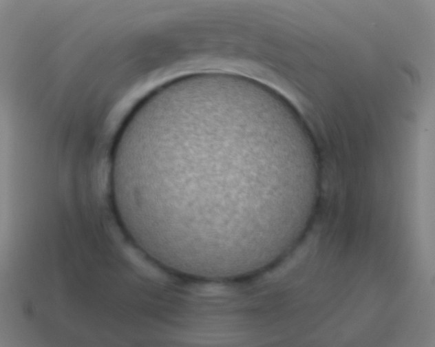 X0000115071507200911101252