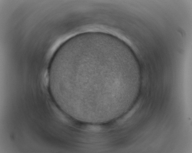 X0000115071509200911101252