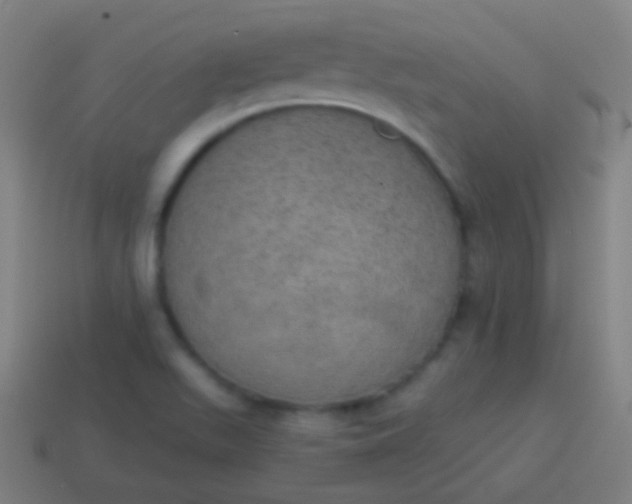X0000115071511200911101252