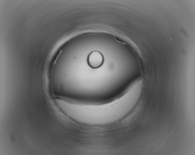 X0000115071514200911101252