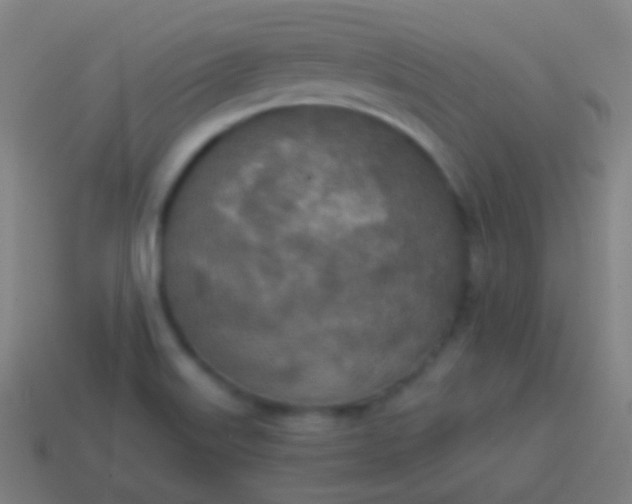 X0000115071515200911101252