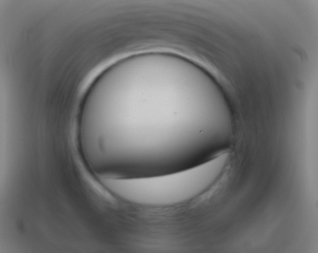 X0000115071518200911101252