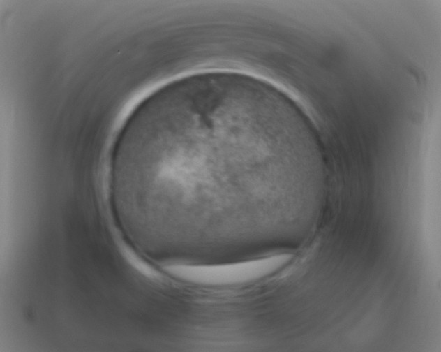 X0000115071519200911101252