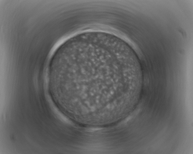 X0000115071522200911101252