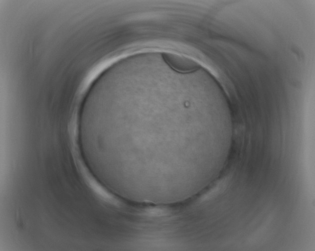 X0000115071523200911101252