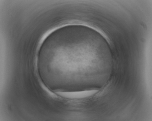 X0000115071527200911101252