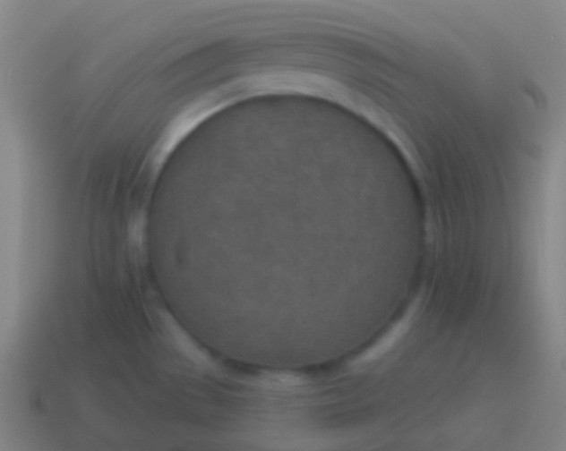 X0000115071529200911101252
