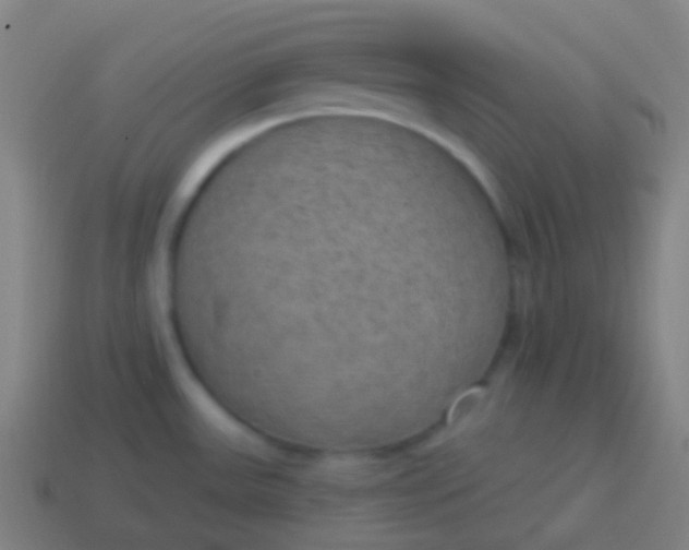 X0000115071531200911101252