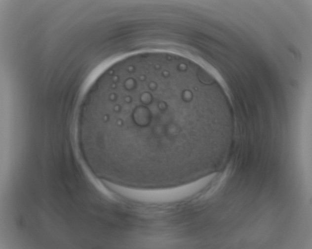 X0000115071533200911101252