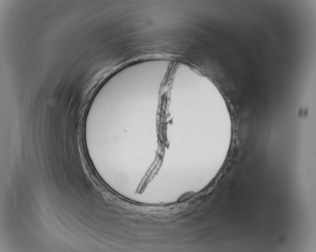 X0000115070001200911171141