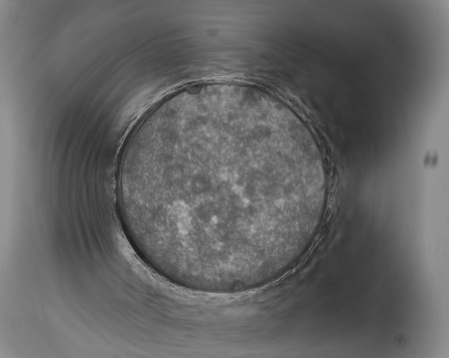 X0000115070002200911171141