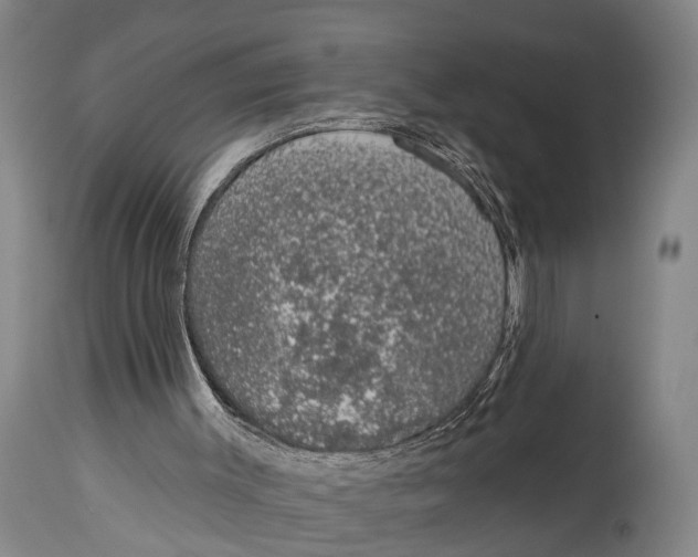 X0000115070003200911171141