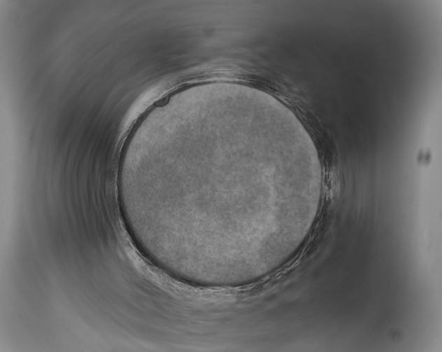 X0000115070004200911171141