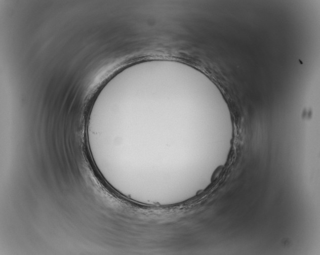 X0000115070005200911171141