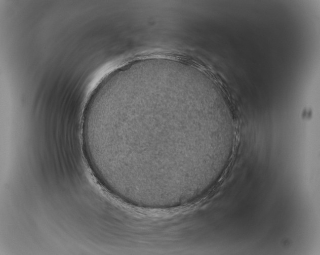 X0000115070006200911171141