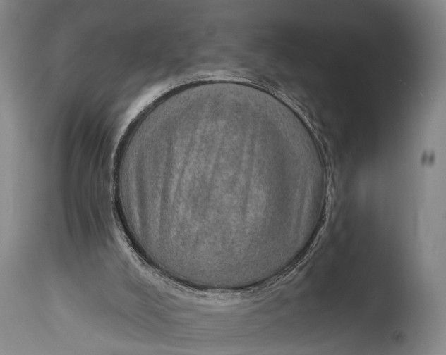 X0000115070008200911171141