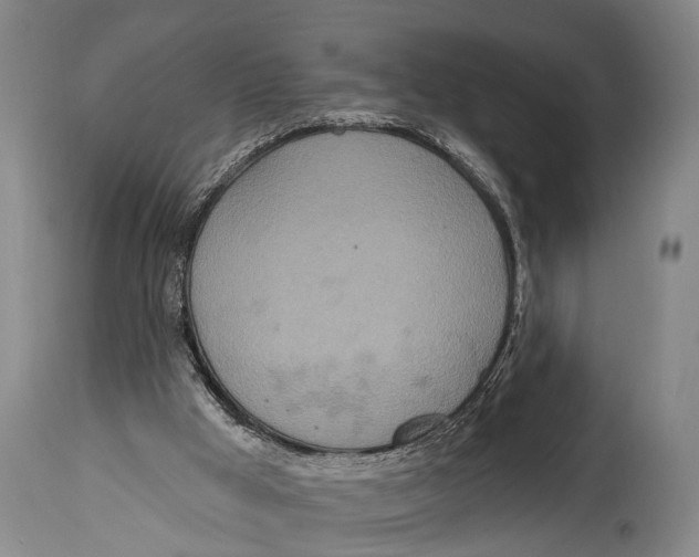 X0000115070009200911171141