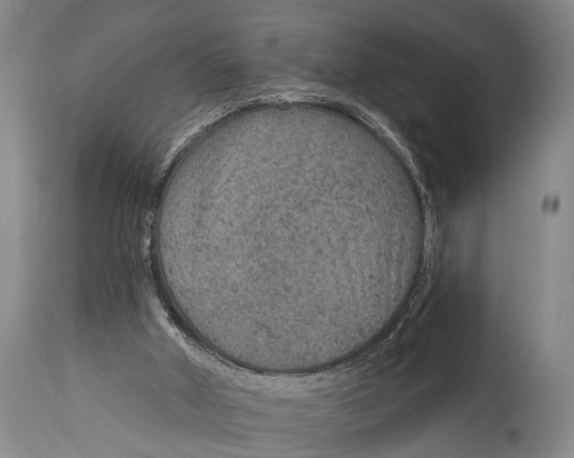 X0000115070010200911171141