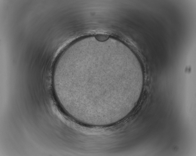 X0000115070012200911171140
